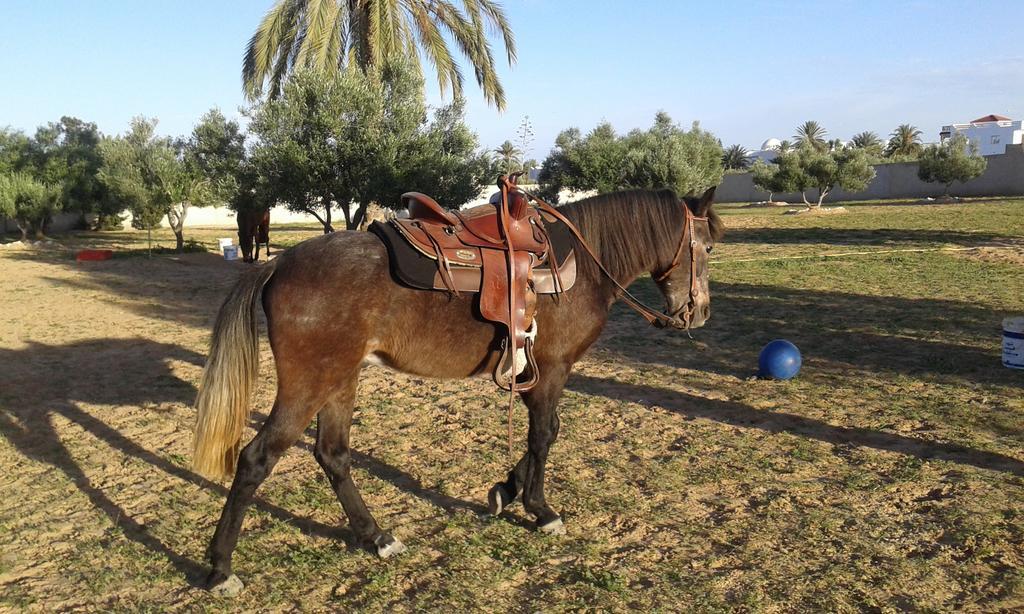 Menzel Churasco Djerba Aghīr Exteriér fotografie