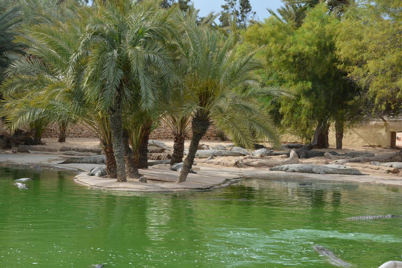 Menzel Churasco Djerba Aghīr Exteriér fotografie